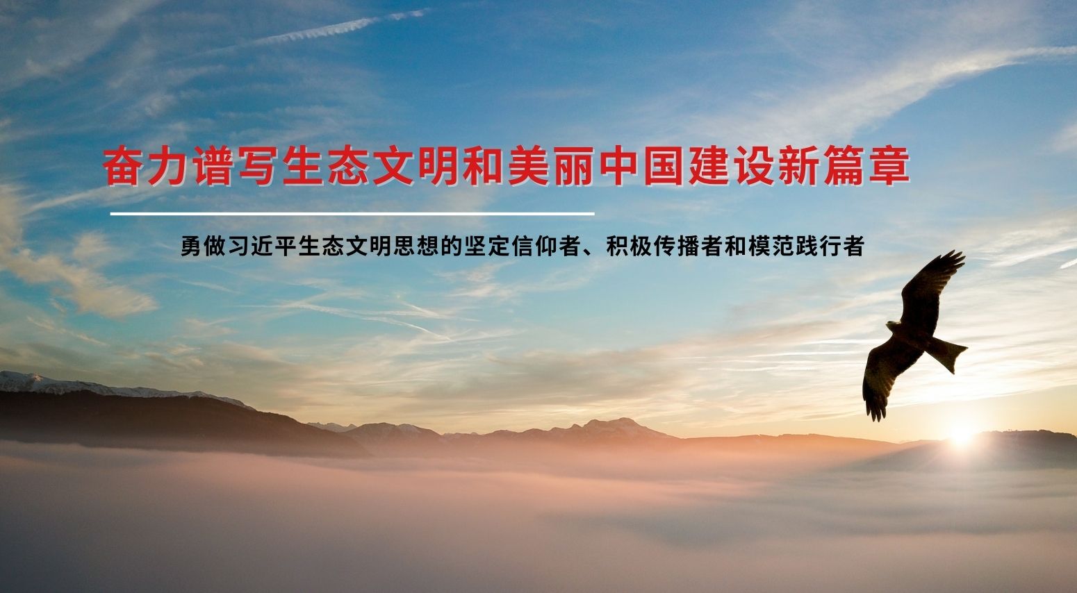 新澳门2024免费原料网