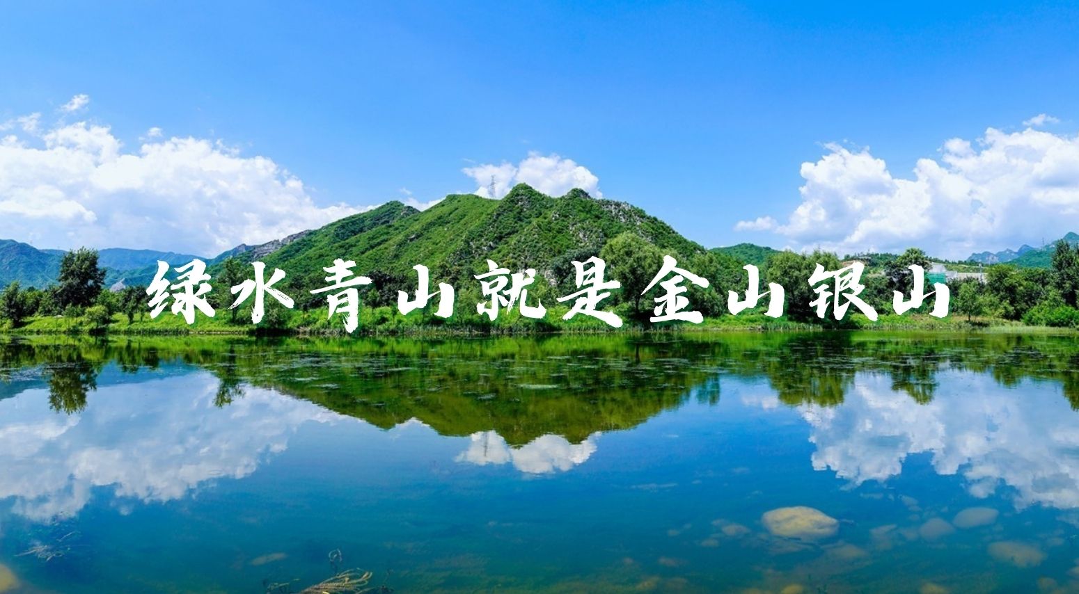新澳门2024免费原料网